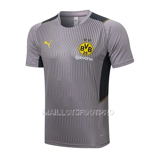 BVB Borussia Dortmund Maillot d'Entraînement Homme 22-23 Gris Clair