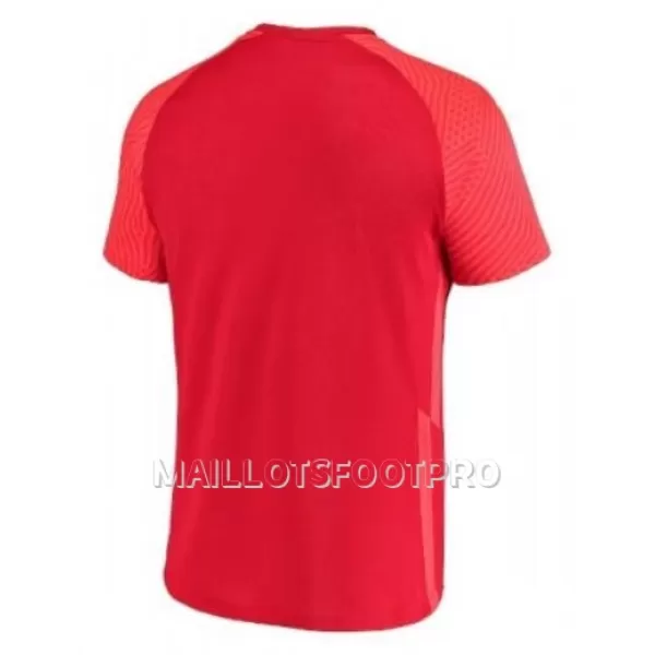 Maillot Canada Homme Domicile Coupe du Monde 2022