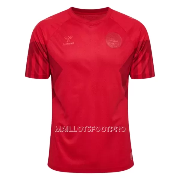 Maillot Danemark Homme Domicile Coupe du Monde 2022