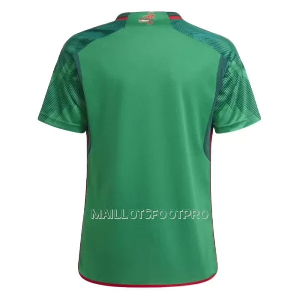 Maillot Mexique Homme Domicile Coupe du Monde 2022