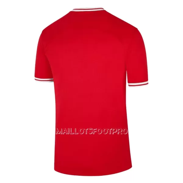 Maillot Pologne Homme Extérieur Coupe du Monde 2022