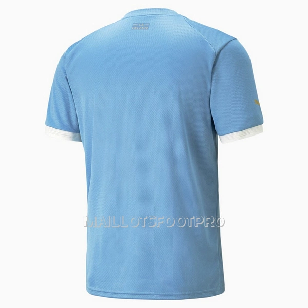 Maillot Uruguay Homme Domicile Coupe du Monde 2022