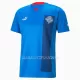 Maillot Islande Homme Domicile 2022