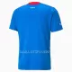 Maillot Islande Homme Domicile 2022