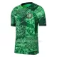 Maillot Nigéria Homme Domicile 2022