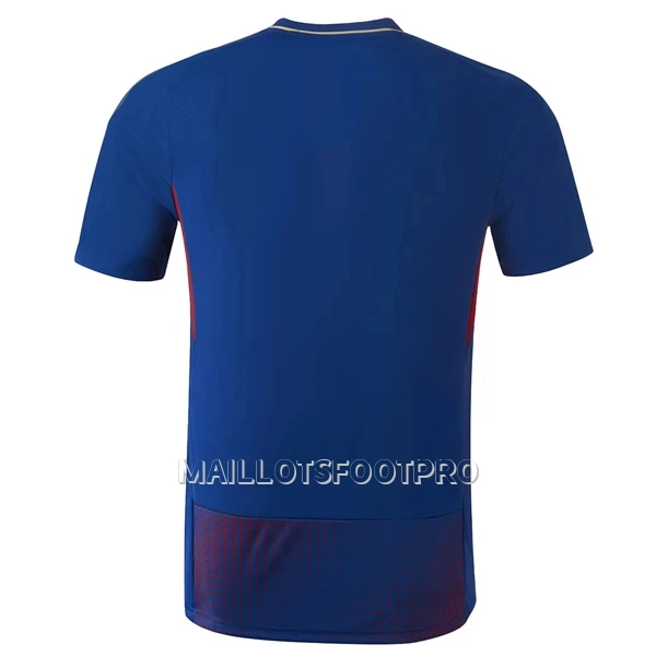 Maillot Olympique Lyonnais Homme Fourth 2022-23