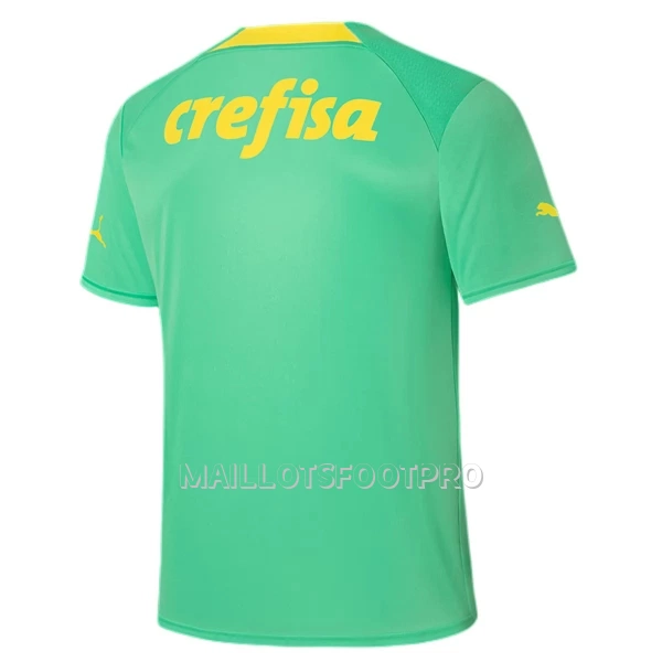 Maillot Palmeiras Homme Third 2022-23