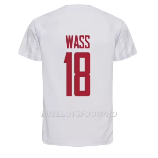 Maillot Danemark Daniel Wass 18 Homme Extérieur Coupe du Monde 2022