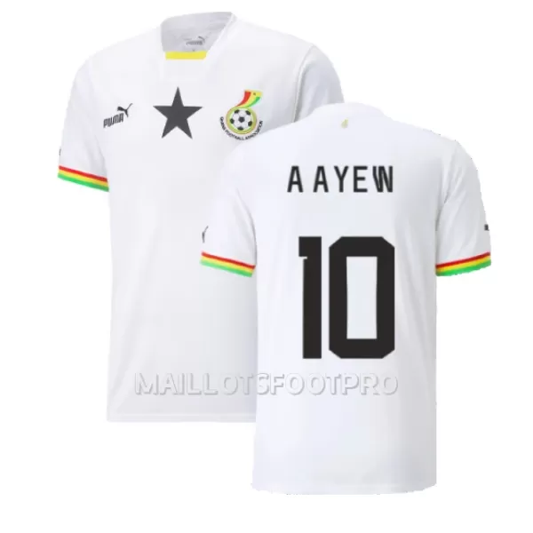 Maillot Ghana Andre Ayew 10 Homme Domicile Coupe du Monde 2022