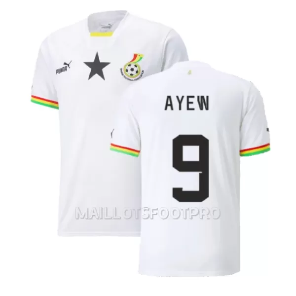 Maillot Ghana Ayew 9 Homme Domicile Jordan Coupe du Monde 2022