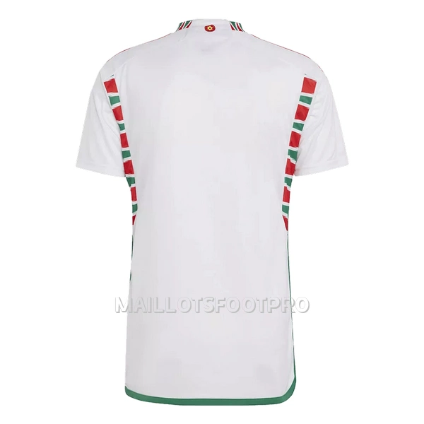 Maillot Pays de Galles Homme Extérieur Coupe du Monde 2022