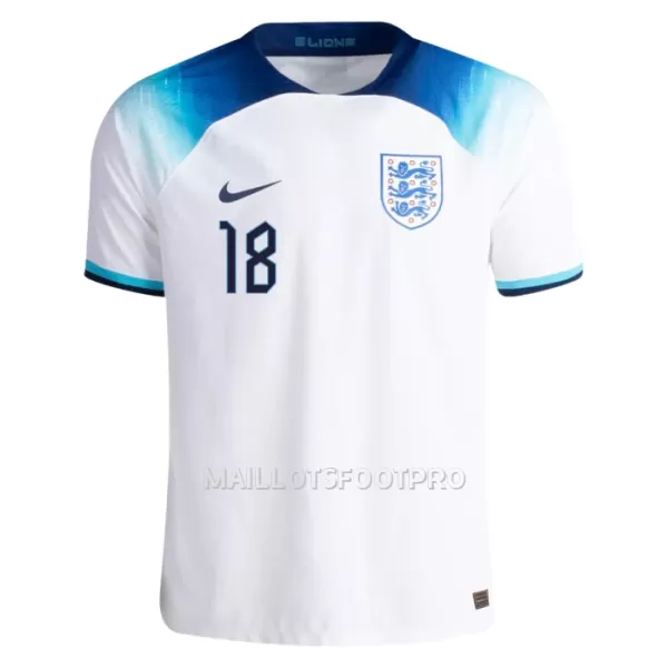 Maillot Angleterre ALEXANDER-ARNOLD 18 Homme Domicile Coupe du Monde 2022