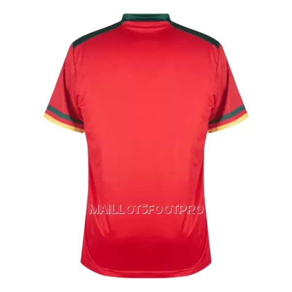 Maillot Cameroun Homme Third Coupe du Monde 2022