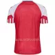 Maillot Danemark Homme Domicile 2023