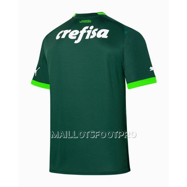 Maillot Palmeiras Homme Domicile 2023-24