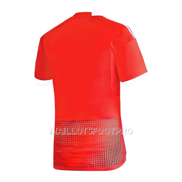 Maillot Pérou Homme Extérieur 2023