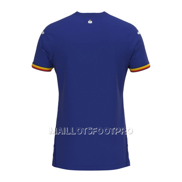 Maillot Roumanie Homme Third 2023