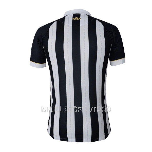 Maillot Santos FC Homme Extérieur 2023-24