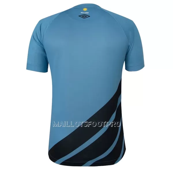 Maillot Athletico Paranaense Homme Extérieur 2023-24