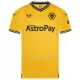 Maillot Wolverhampton Homme Domicile 2023-24