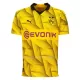 Maillot Borussia Dortmund Cup Homme 2023-24