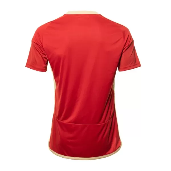 Maillot Aberdeen Homme Domicile 2023-24