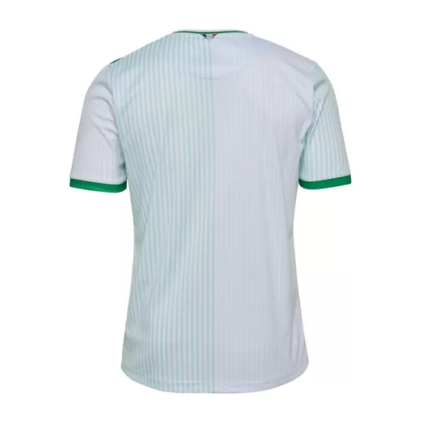 Maillot AS Saint-Étienne Homme Extérieur 2023-24