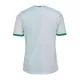 Maillot AS Saint-Étienne Homme Extérieur 2023-24