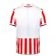 Maillot Stoke City Homme Domicile 2023-24