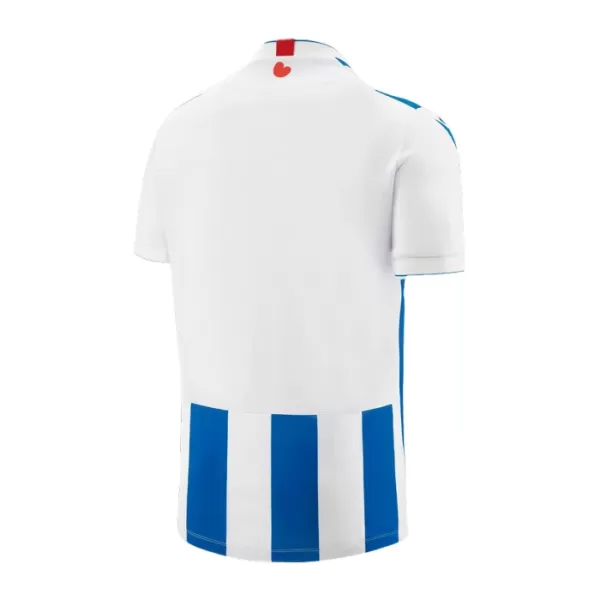 Maillot SC Heerenveen Homme Domicile 2023-24