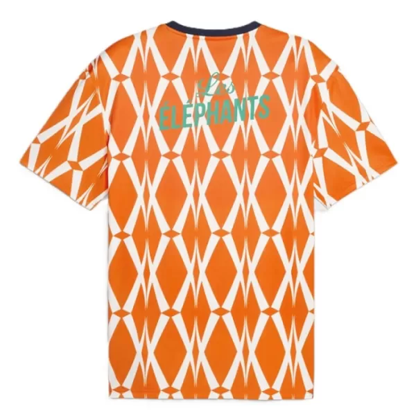 Maillot Côte d Ivoire Homme Domicile 2023-24