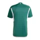 Maillot Irlande Du Nord Homme Domicile 2022