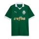 Maillot Palmeiras Homme Domicile 2024-25