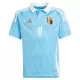 Maillot Belgique Carrasco 11 Enfant Extérieur Euro 2024