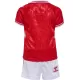 Maillot Danemark Enfant Domicile Euro 2024