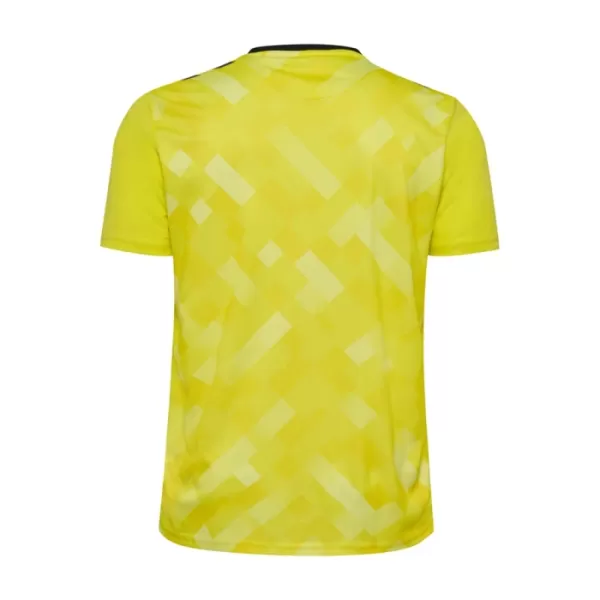 Maillot Gardien Danemark Homme Euro 2024 Jaune