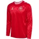 Maillot Manches Longues Danemark Homme Domicile Euro 2024