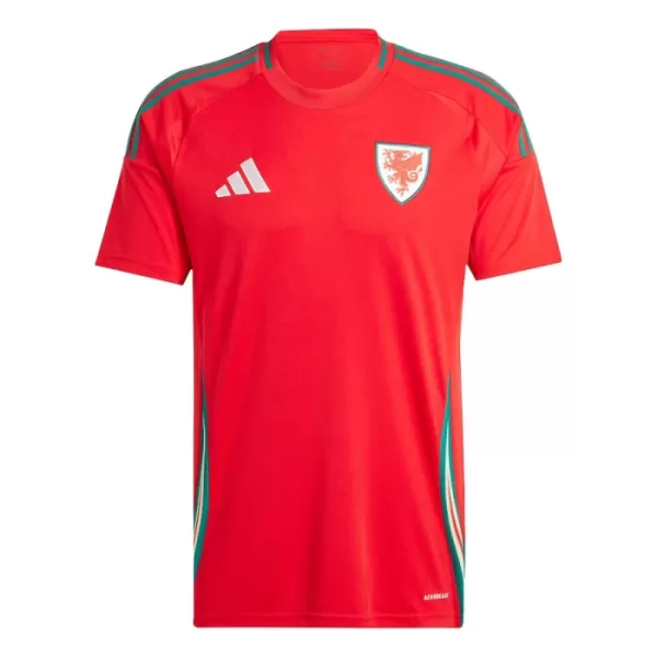 Maillot Pays de Galles Homme Domicile 2024