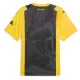 Maillot Borussia Dortmund Homme Anniversaire 2023-24