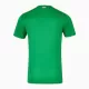 Maillot Irlande Homme Domicile 2024-25