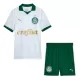 Maillot Palmeiras Enfant Extérieur 2024-25