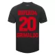 Maillot Bayer 04 Leverkusen Alejandro Grimaldo 20 Homme Domicile 2023-24