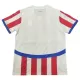 Maillot Paraguay Homme Domicile 2024