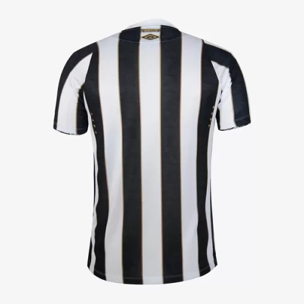 Maillot Santos FC Homme Extérieur 2024-25