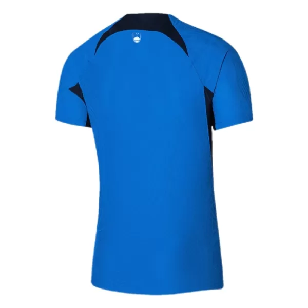 Maillot Slovénie Homme Extérieur Euro 2024