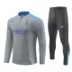 Tottenham Hotspur Sweat d'Entraînement Homme 2024-25 Quart-Zip Gris