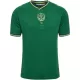 Maillot AS Saint-Étienne Homme Anniversaire 2023-24