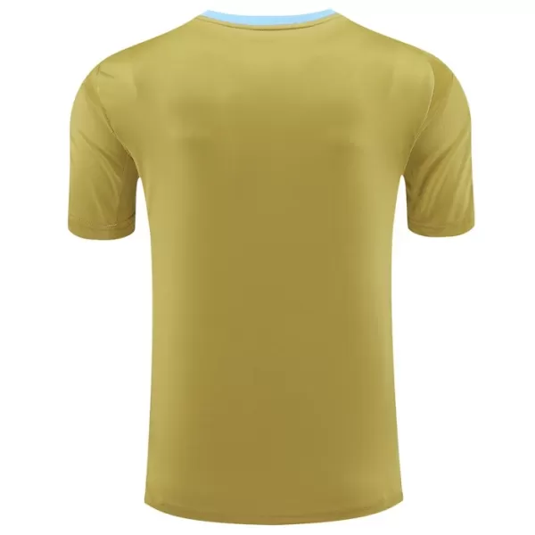 Maillot Argentine Pre-Match Homme 2024 Jaune