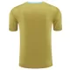 Maillot Argentine Pre-Match Homme 2024 Jaune