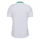 Maillot AS AS Saint-Étienne Homme Extérieur 2024-25